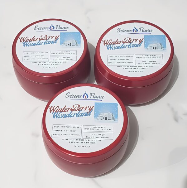 Winterberry Wonderland Candle - Image 2