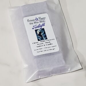 Twilight Wax Melt